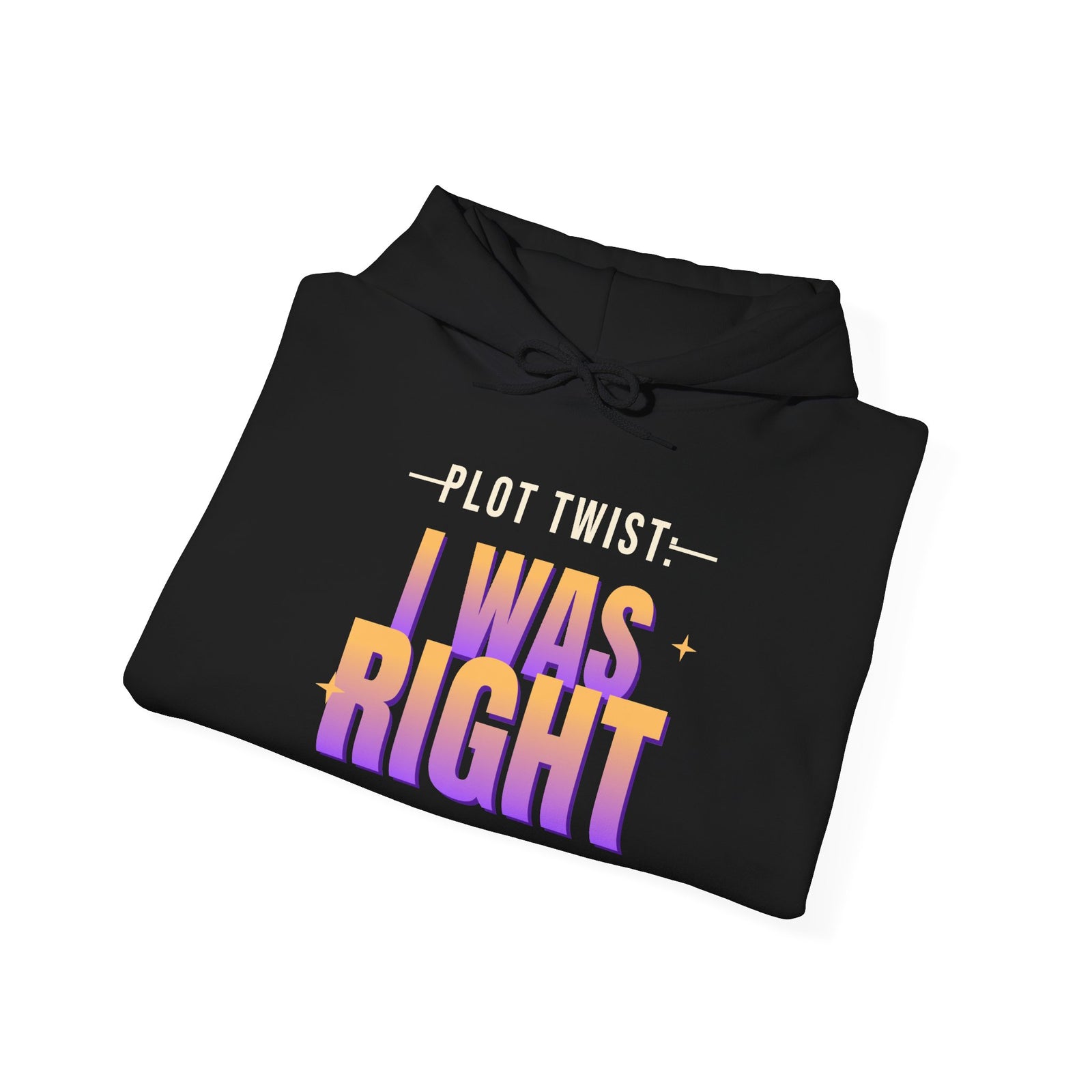 Plot Twist: I Was Right Funny Hoodie | Retro Graphic Hooded Sweatshirt | Sarcastic Gift