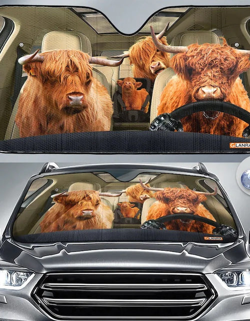 Load image into Gallery viewer, Car Sun Shield Front Stop Sunscreen Heat Insulation Non-punching Telescopic Curtain
