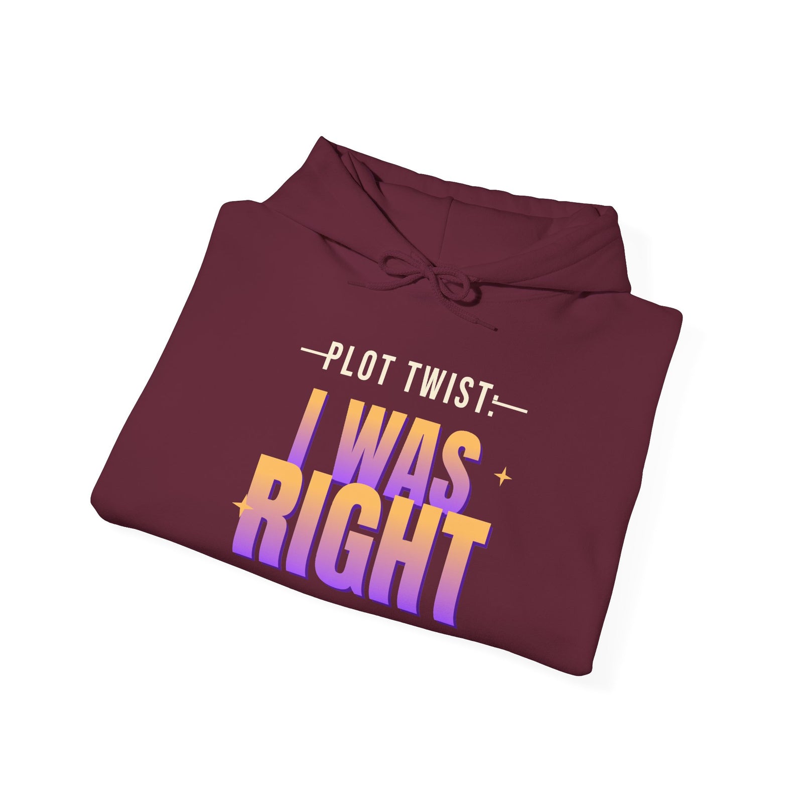 Plot Twist: I Was Right Funny Hoodie | Retro Graphic Hooded Sweatshirt | Sarcastic Gift