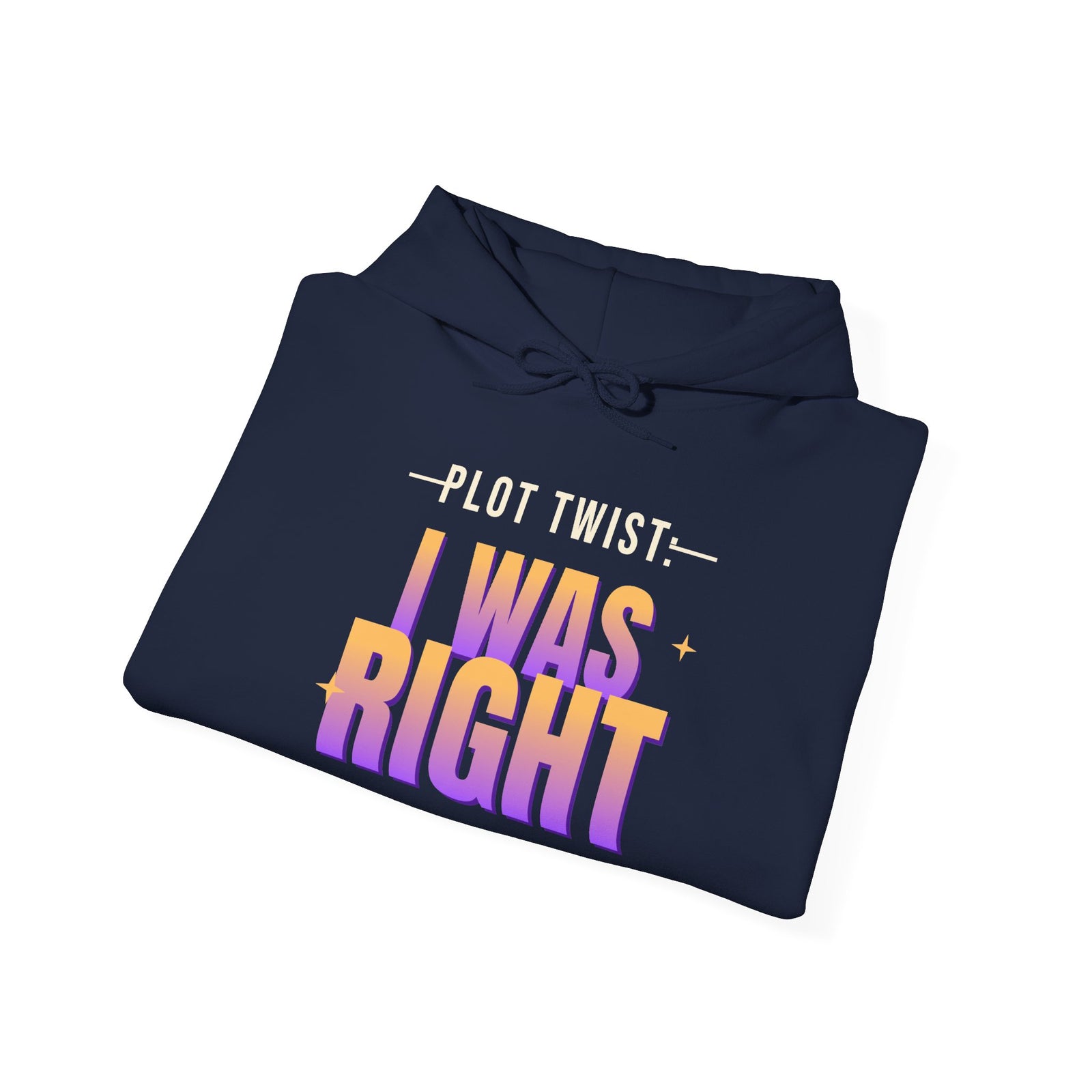 Plot Twist: I Was Right Funny Hoodie | Retro Graphic Hooded Sweatshirt | Sarcastic Gift