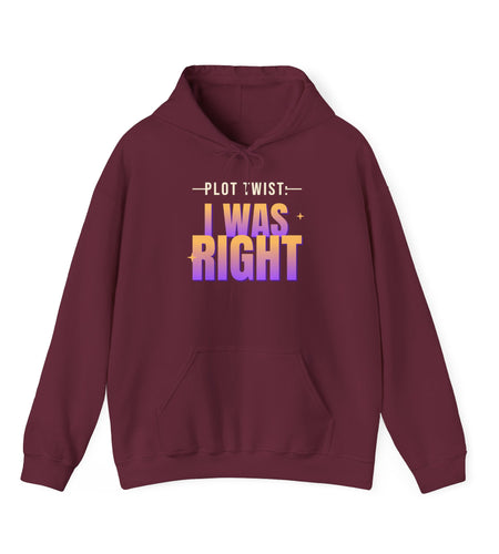 Plot Twist: I Was Right Funny Hoodie | Retro Graphic Hooded Sweatshirt | Sarcastic Gift