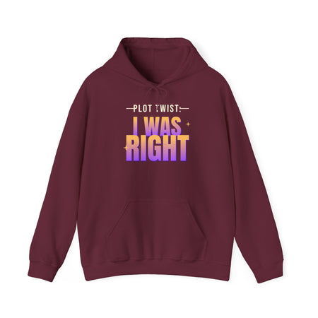 Plot Twist: I Was Right Funny Hoodie | Retro Graphic Hooded Sweatshirt | Sarcastic Gift
