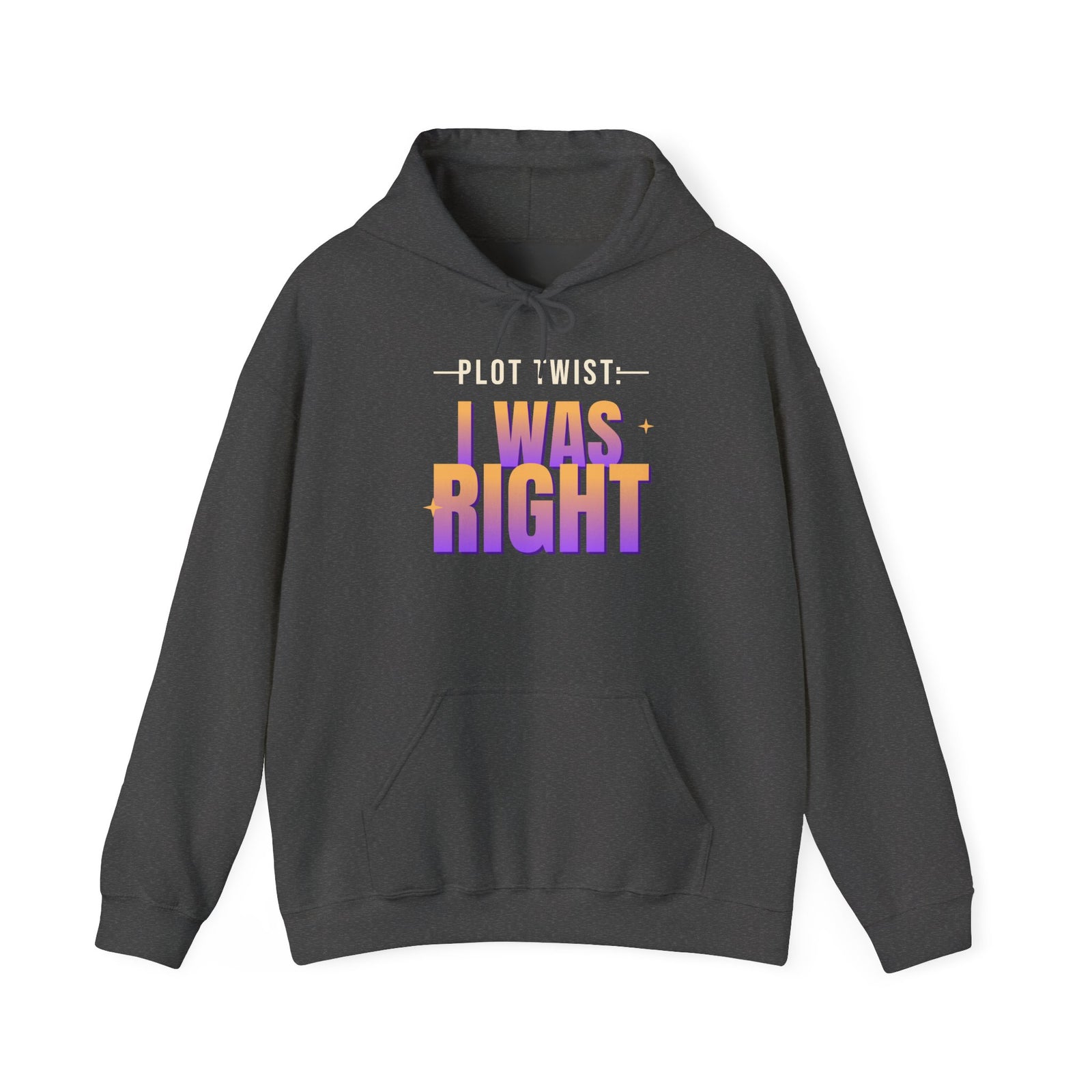Plot Twist: I Was Right Funny Hoodie | Retro Graphic Hooded Sweatshirt | Sarcastic Gift