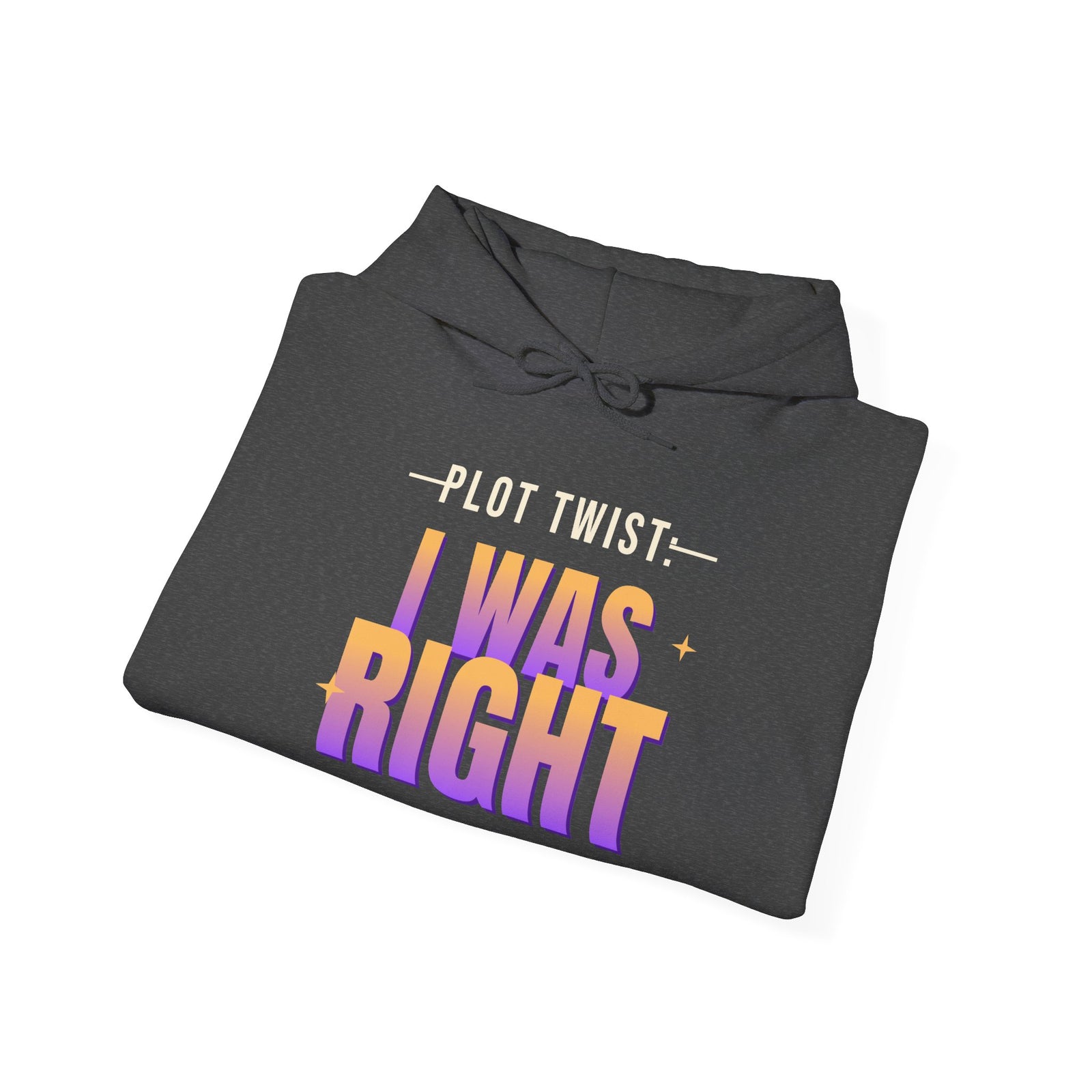 Plot Twist: I Was Right Funny Hoodie | Retro Graphic Hooded Sweatshirt | Sarcastic Gift